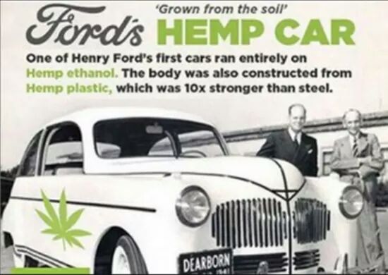 Hemp for the future