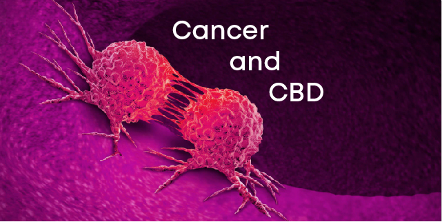 Cancer and CBD